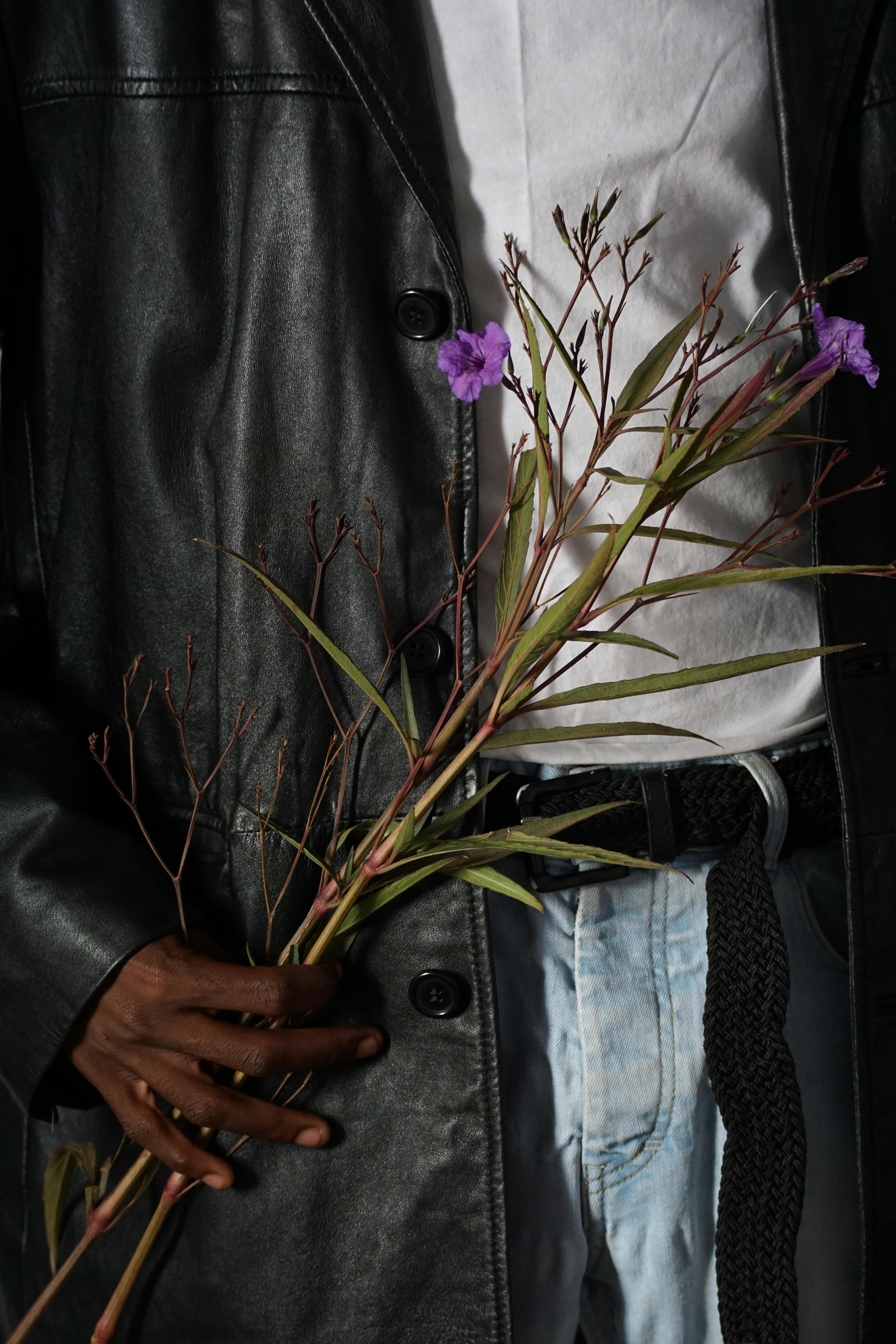 purple leaves phosphorus deficiency young plant UK