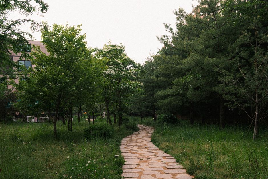 DMZ Tour from Seoul 2026 — Gimpo Package Booking Guide