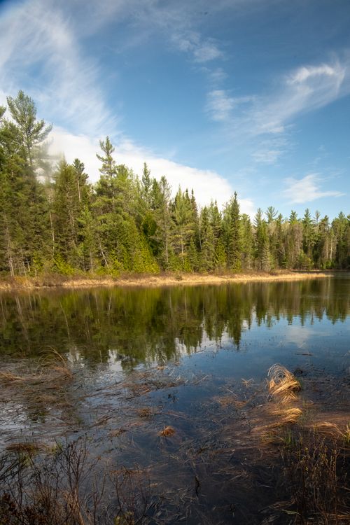 Free Tranquil view of a forest-lined lake reflecting a clear blue sky and clouds. Stock Photo