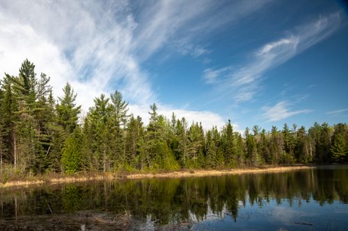 Free Peaceful forest scene with trees reflected in a calm lake under a bright blue sky. Stock Photo