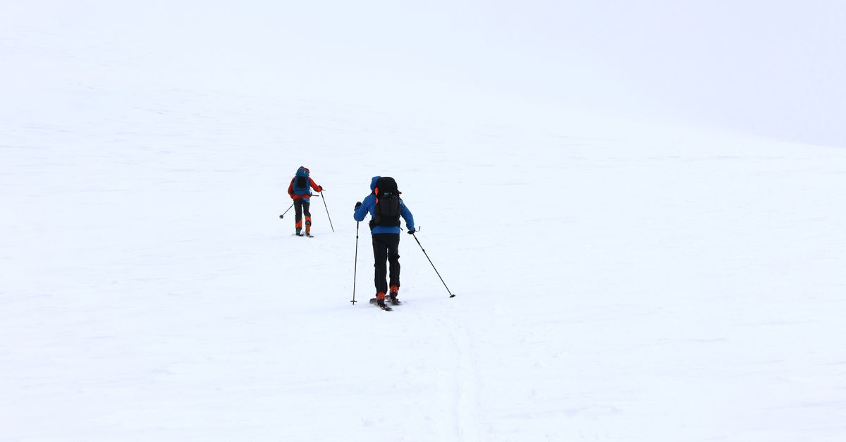 swedish ski federation