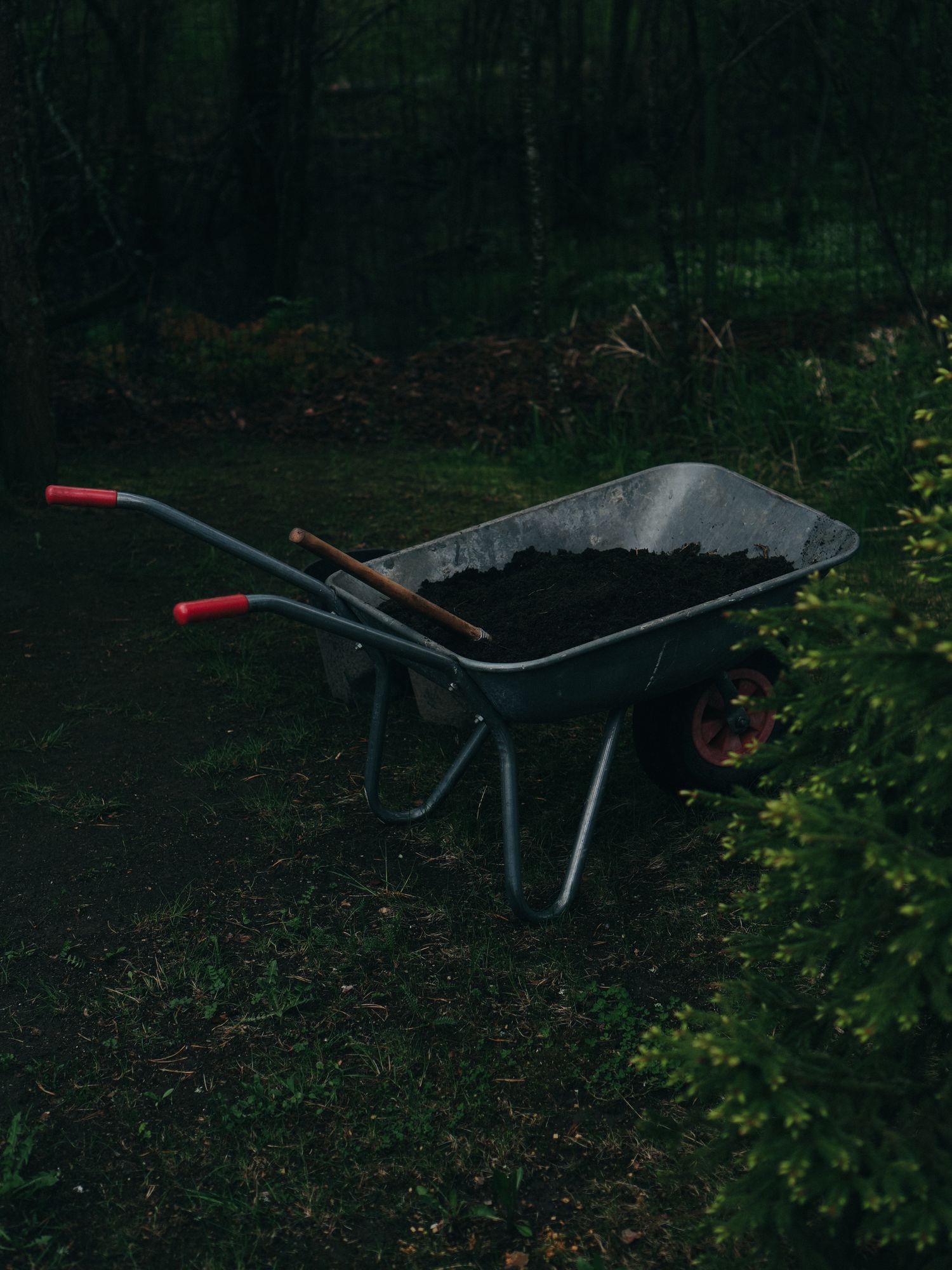 Mulching results