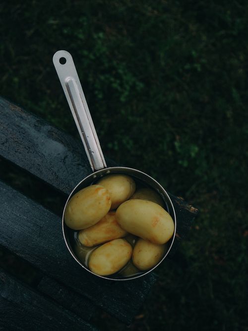 Free Fresh potatoes placed in a small steel pan resting outdoors, captured from above. Stock Photo