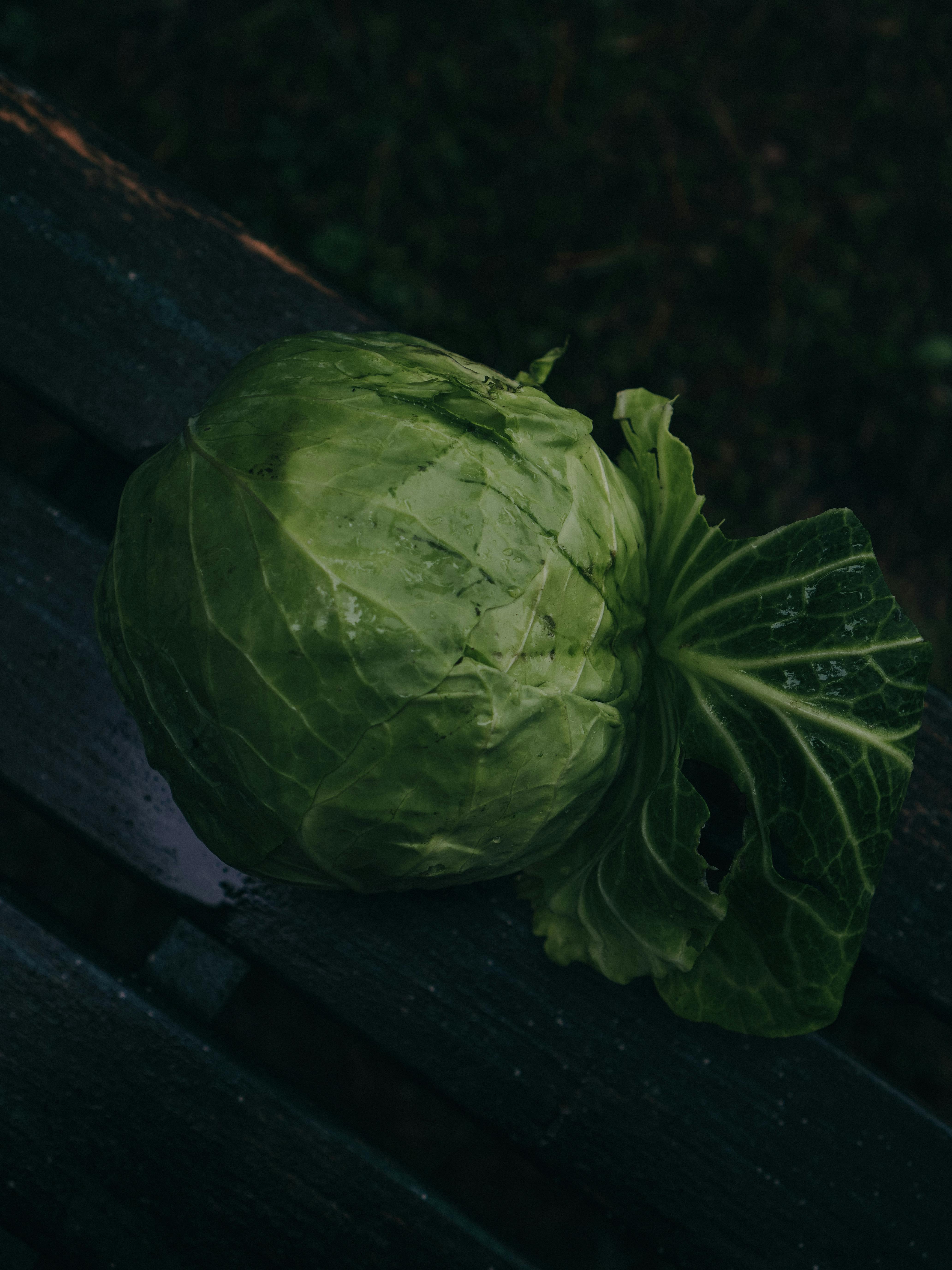 Eradicating Cabbage Worms and Loopers Organically: A Multi-Pronged Approach for Healthy Brassica Harvests
