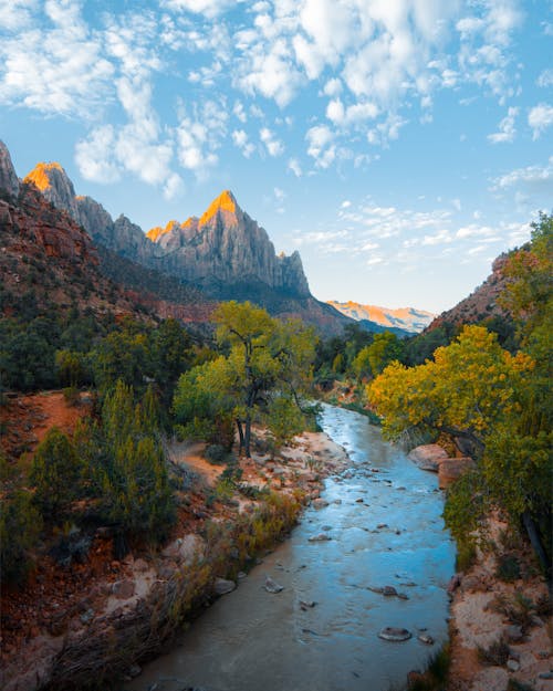 Free Photo Of Stream During Daytime Stock Photo