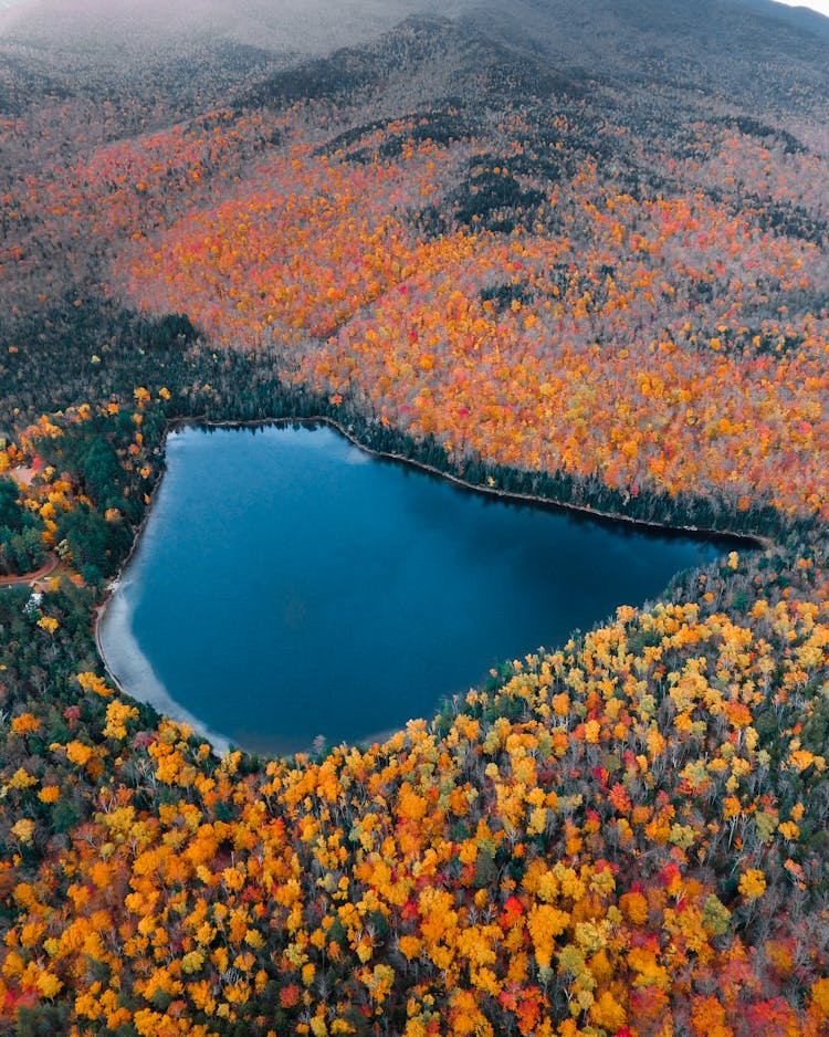 Bird's Eye View Of Lake