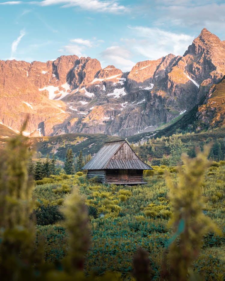 Brown Shack Beside Grass Field