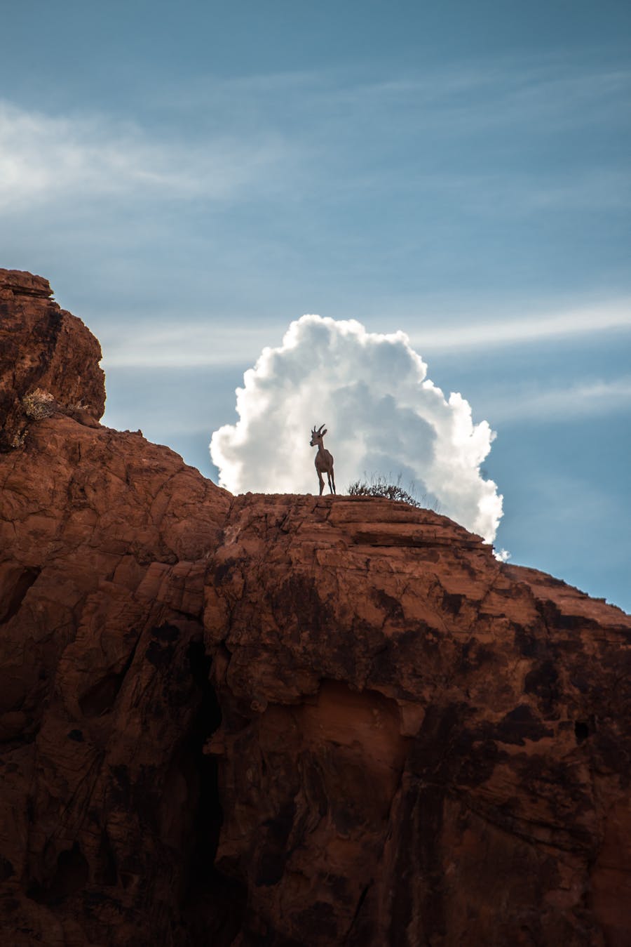 Monterrey — Estadio BBVA