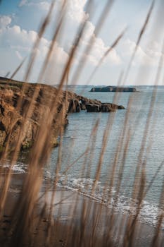 A photo showing the Ganguly brothers enjoying a relaxing beach vacation.  National news, India news.