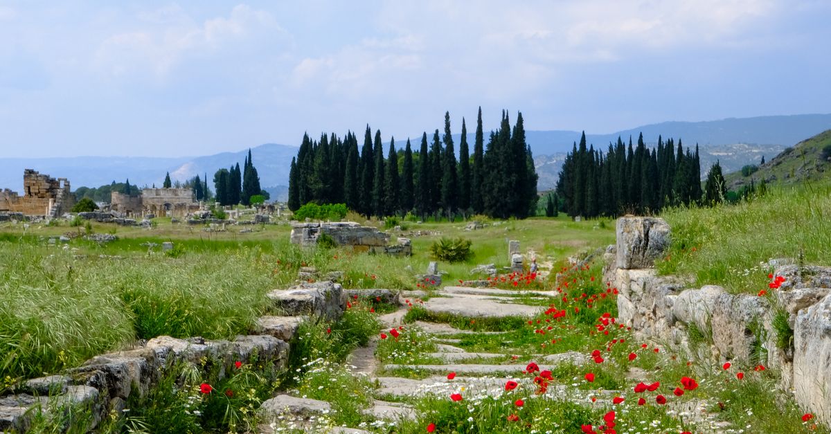 Roman Pathways Ancient Roman Pathway with Wildflowers · Free Stock Photo