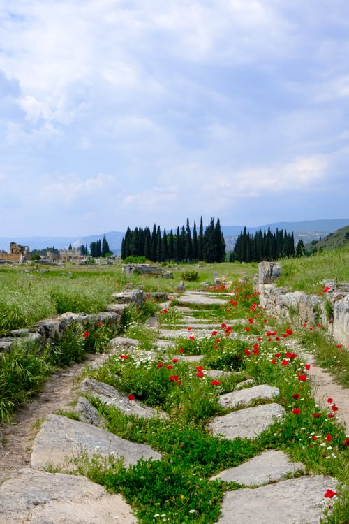 Roman Pathways Ancient Roman Pathway with Wildflowers · Free Stock Photo