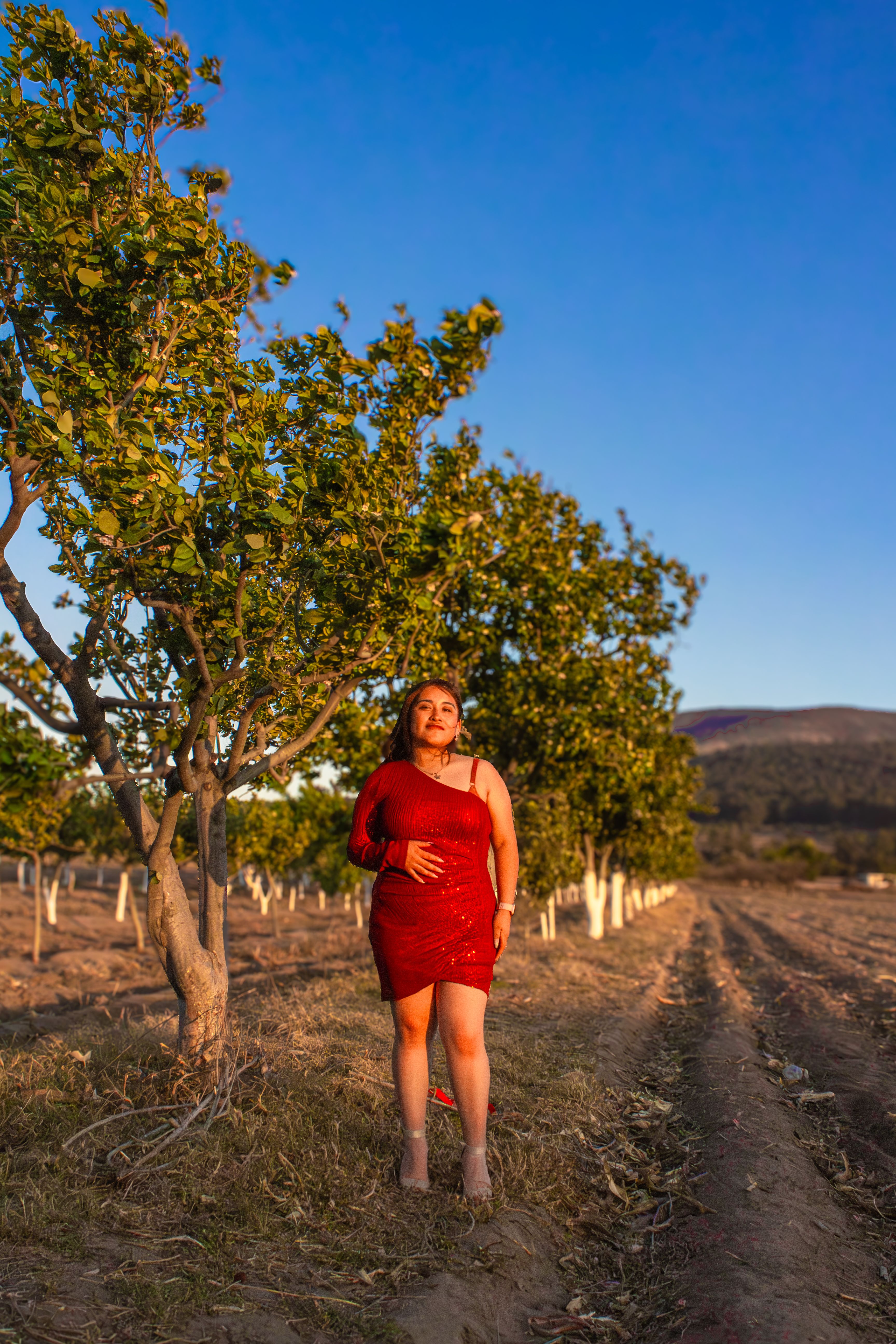 Woman in Red Dress Standing in Orchard at Sunset · Free Stock Photo