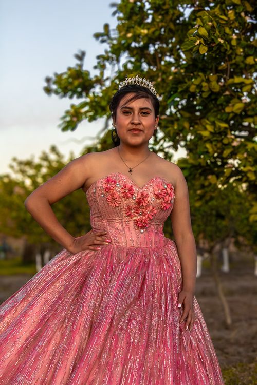 Free Young woman in a pink quinceañera dress poses outdoors with greenery in the background. Stock Photo
