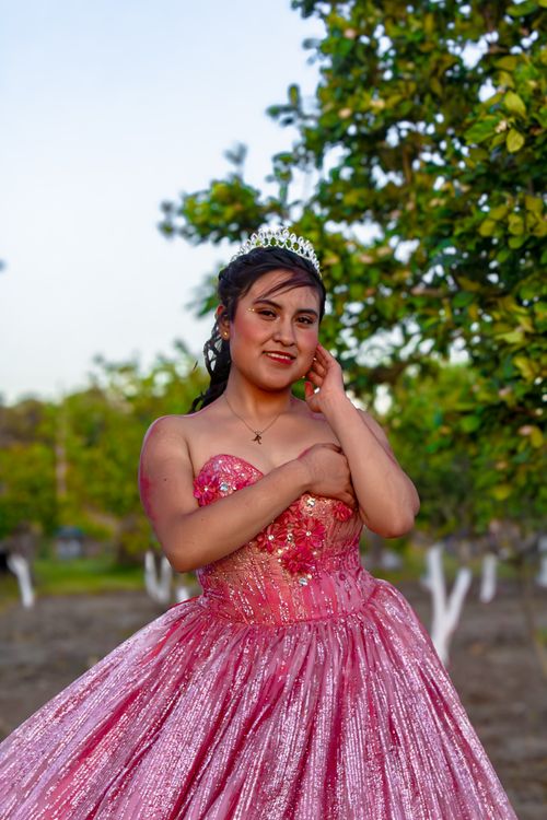 Free A young woman in a sparkling pink gown and tiara posing confidently outdoors among trees. Stock Photo