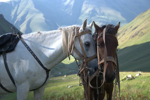 Wah, NewJeans Sabet 100 Juta Views Dengan MV Terbaru Mereka! - wah 1