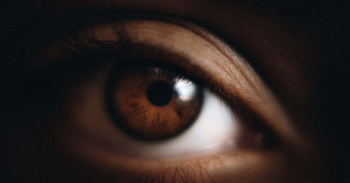 AIIMS Expands Cornea Retrieval Network with Three New Hospital Partners