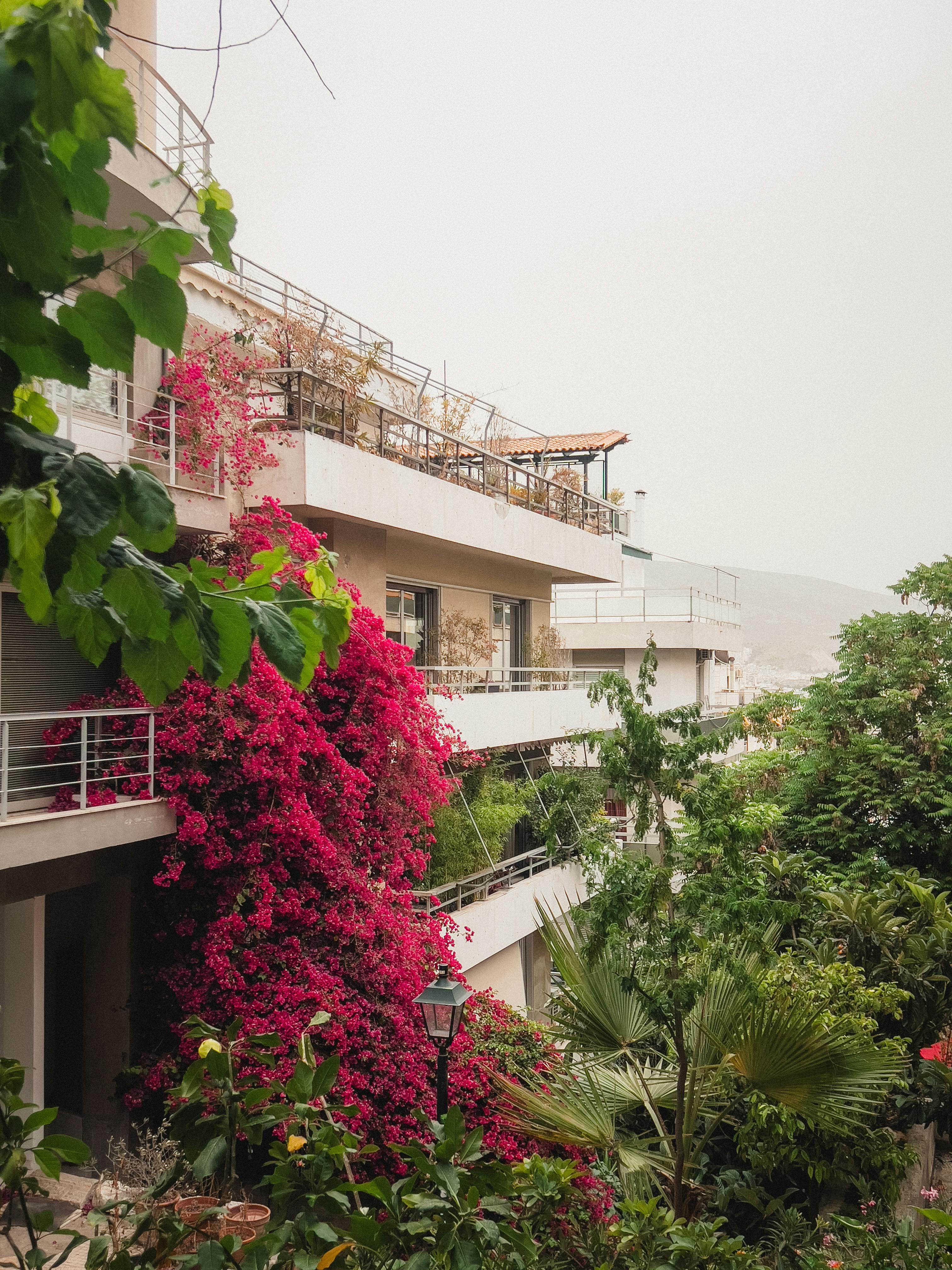 Transform Your Urban Balcony: 5 Essential Plants for a Flourishing London Terrace Garden