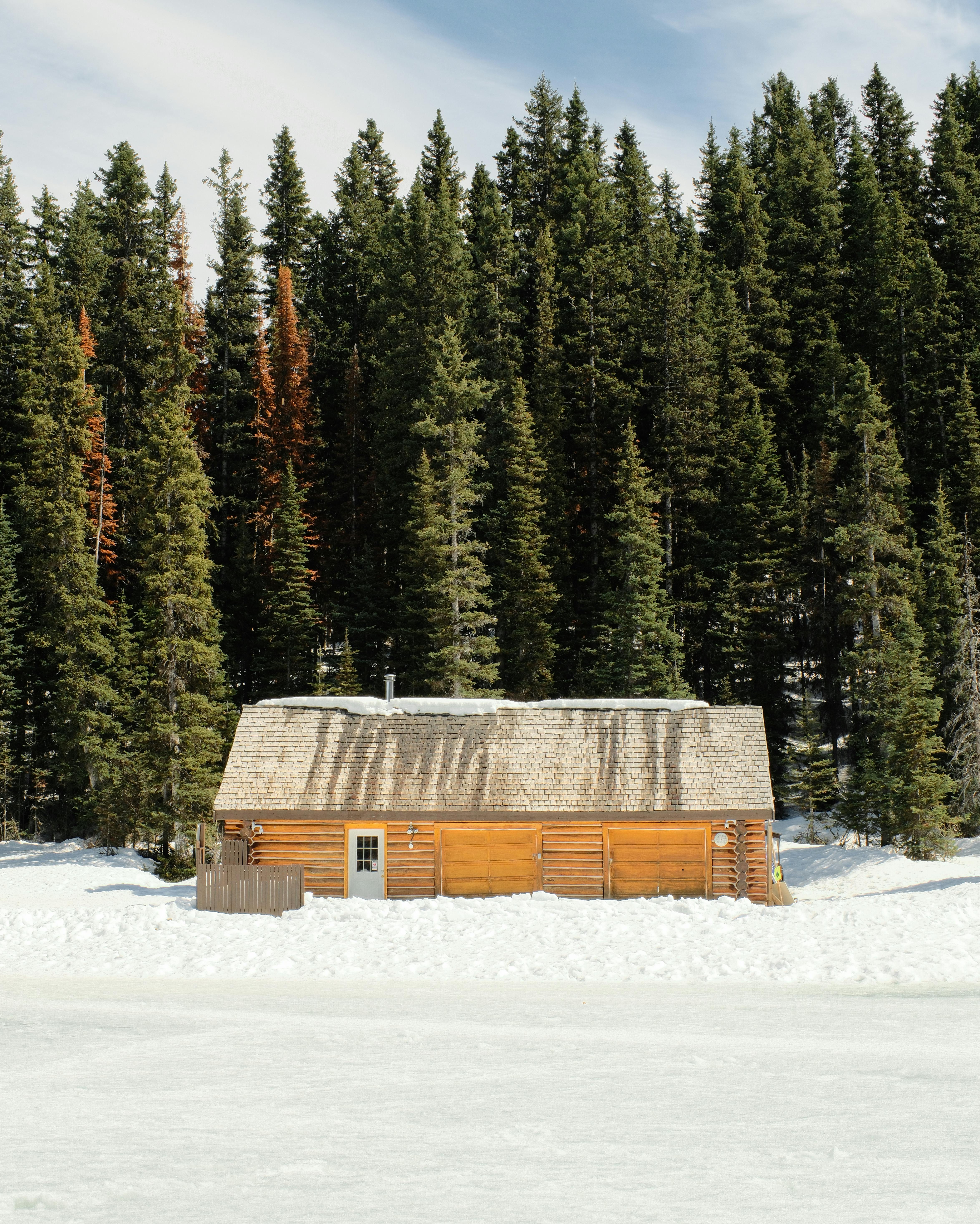Charming log cabin surrounded by snow and evergreen forest in Lake Louise, Alberta.