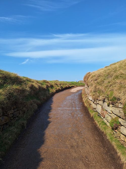 Free A serene rural pathway with stone walls and grassy banks under a clear blue sky. Stock Photo