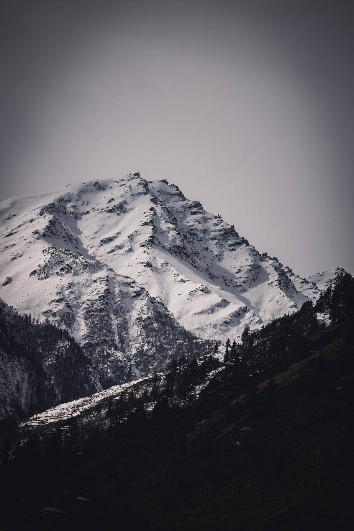 Himalayan orchards