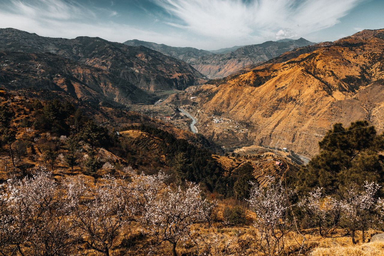 capture the breathtaking view of the himalayan mountains with blooming