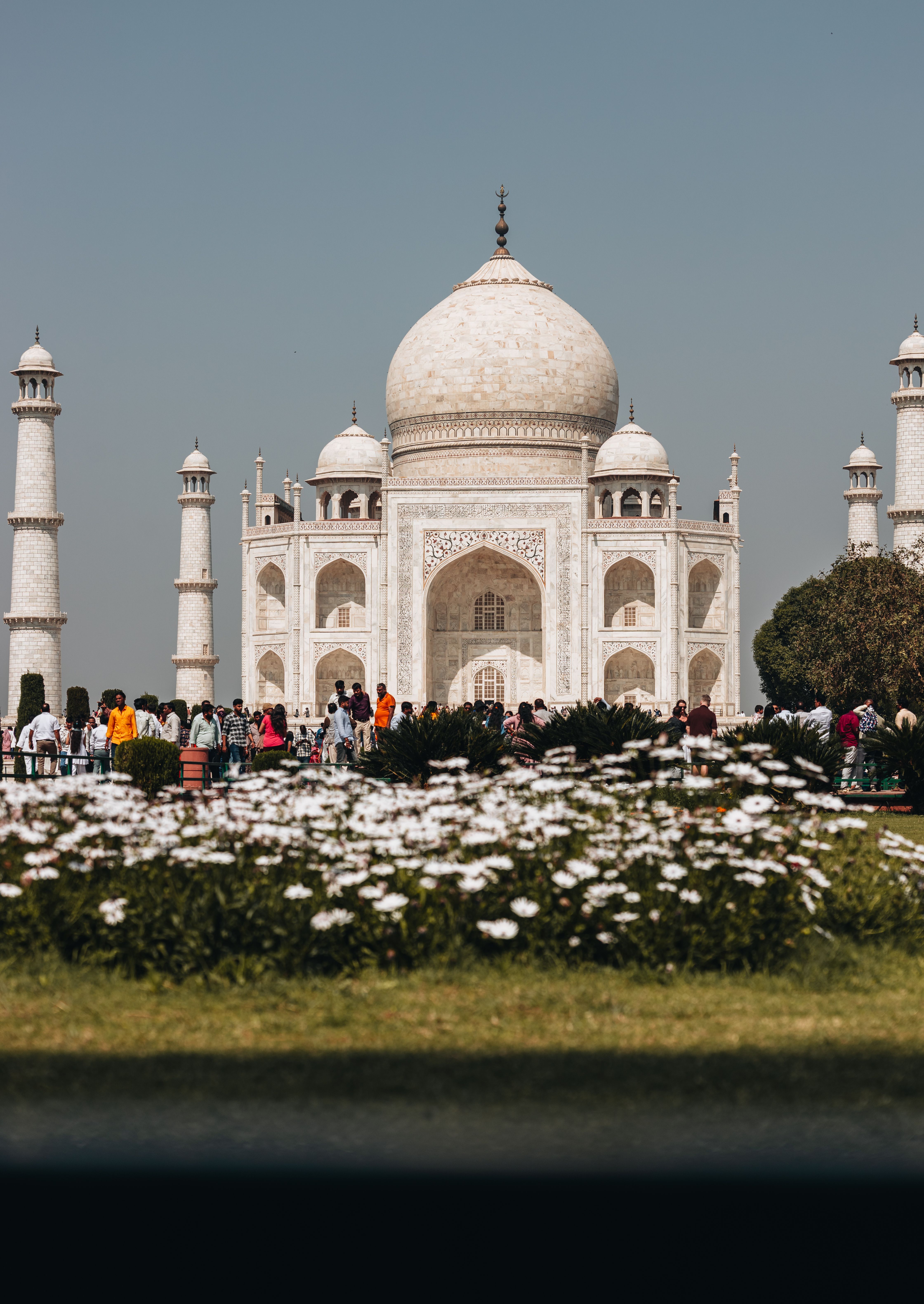 A beautiful view of the Taj Mahal framed by blooming flowers, showcasing its iconic architecture.