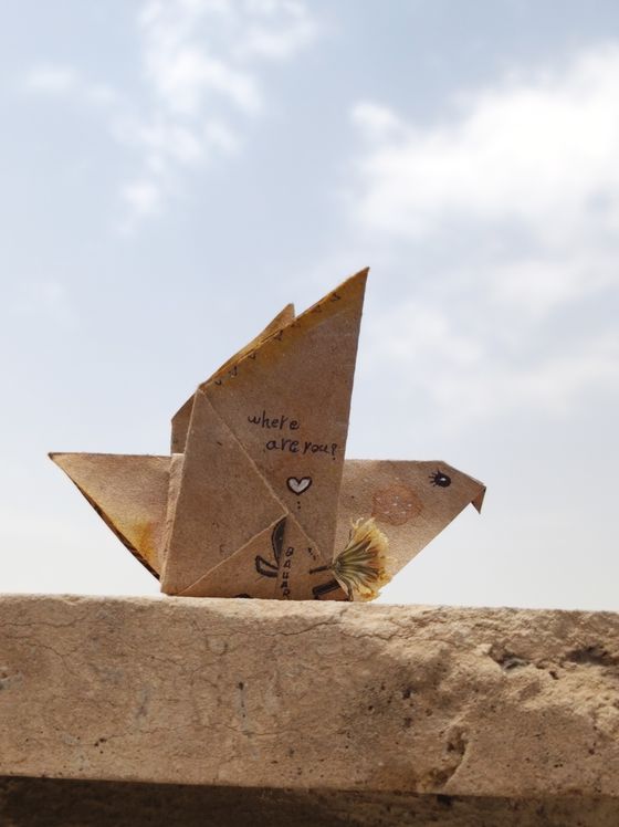 Folded paper form on sand — photo by bahar on Pexels