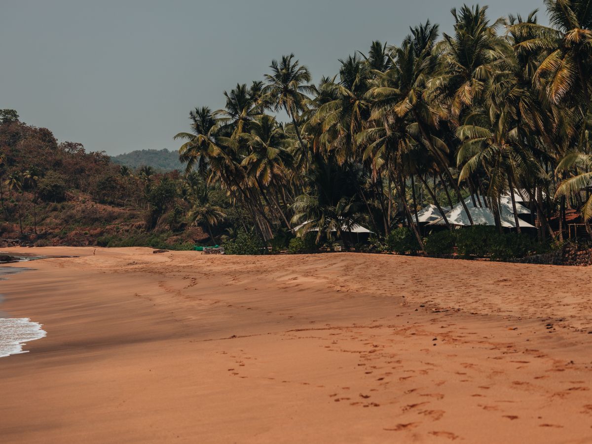 8 Day Seven Chakra Journey: Yoga, Meditation & Breathwork in Goa 3