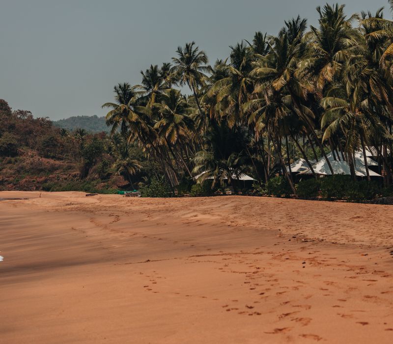 South India