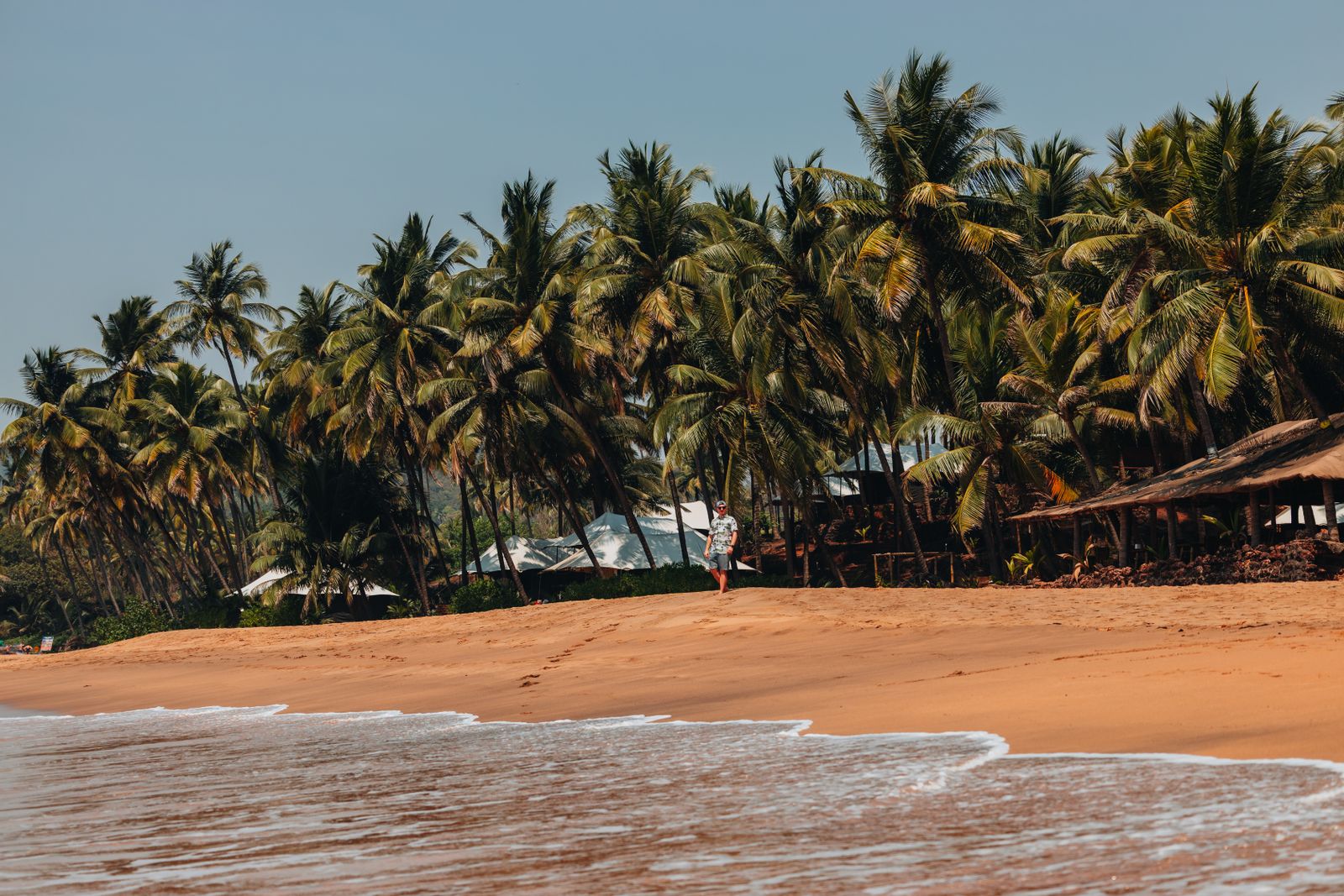 Tropical Beach with Palm Trees and Hut in Daylight · Free Stock Photo