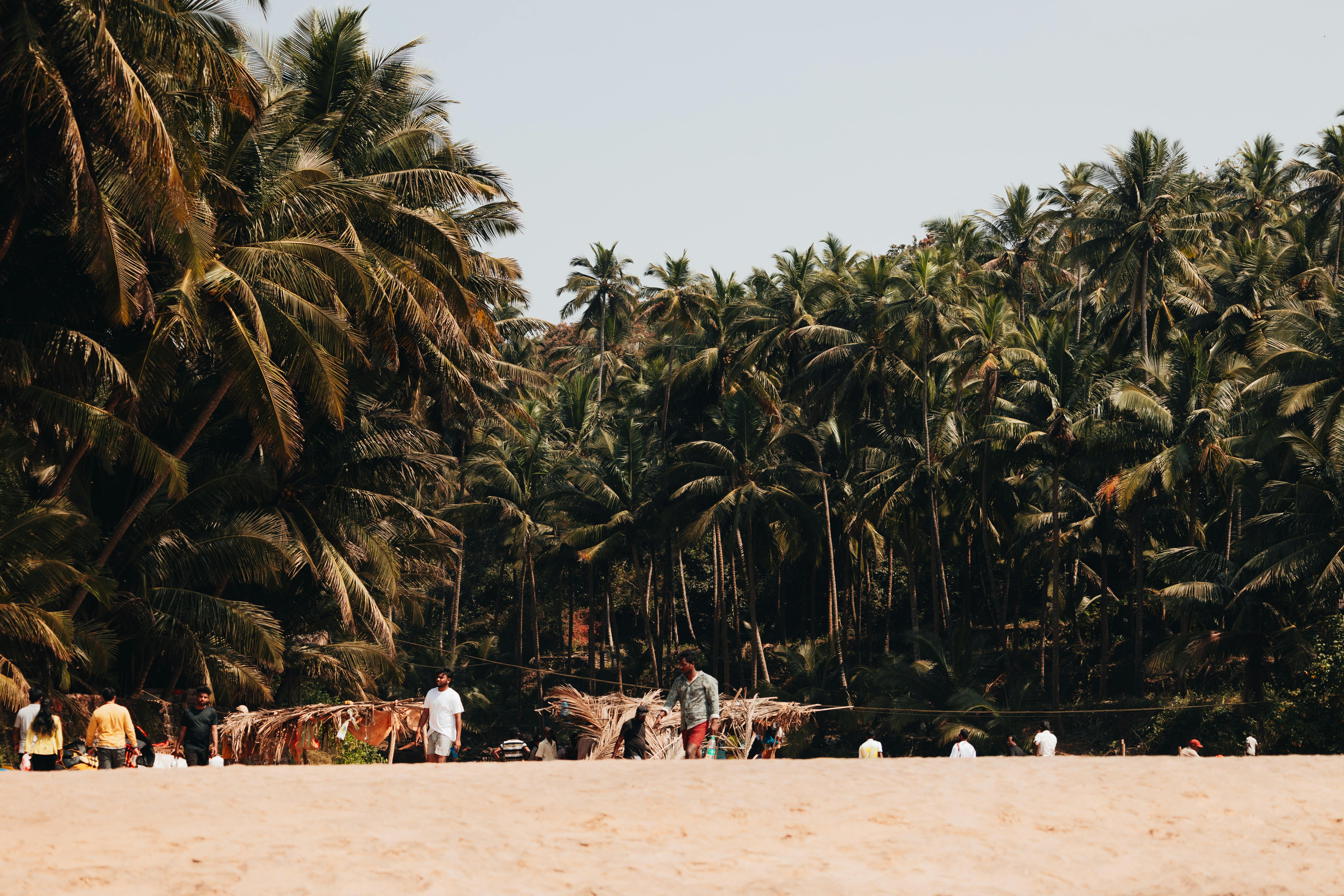 Goa's Evolving Coastal Policy: Navigating Development, Environment, and Livelihoods from Panaji to Village Shores