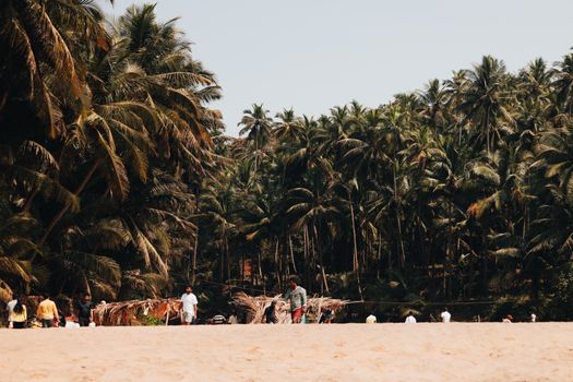 Spice plantation and feni tasting — Goa
