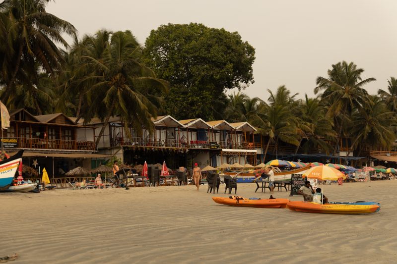 Goa beachfront with palm trees