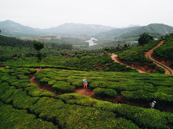 KERALA Honeymoon tour Package - Stays