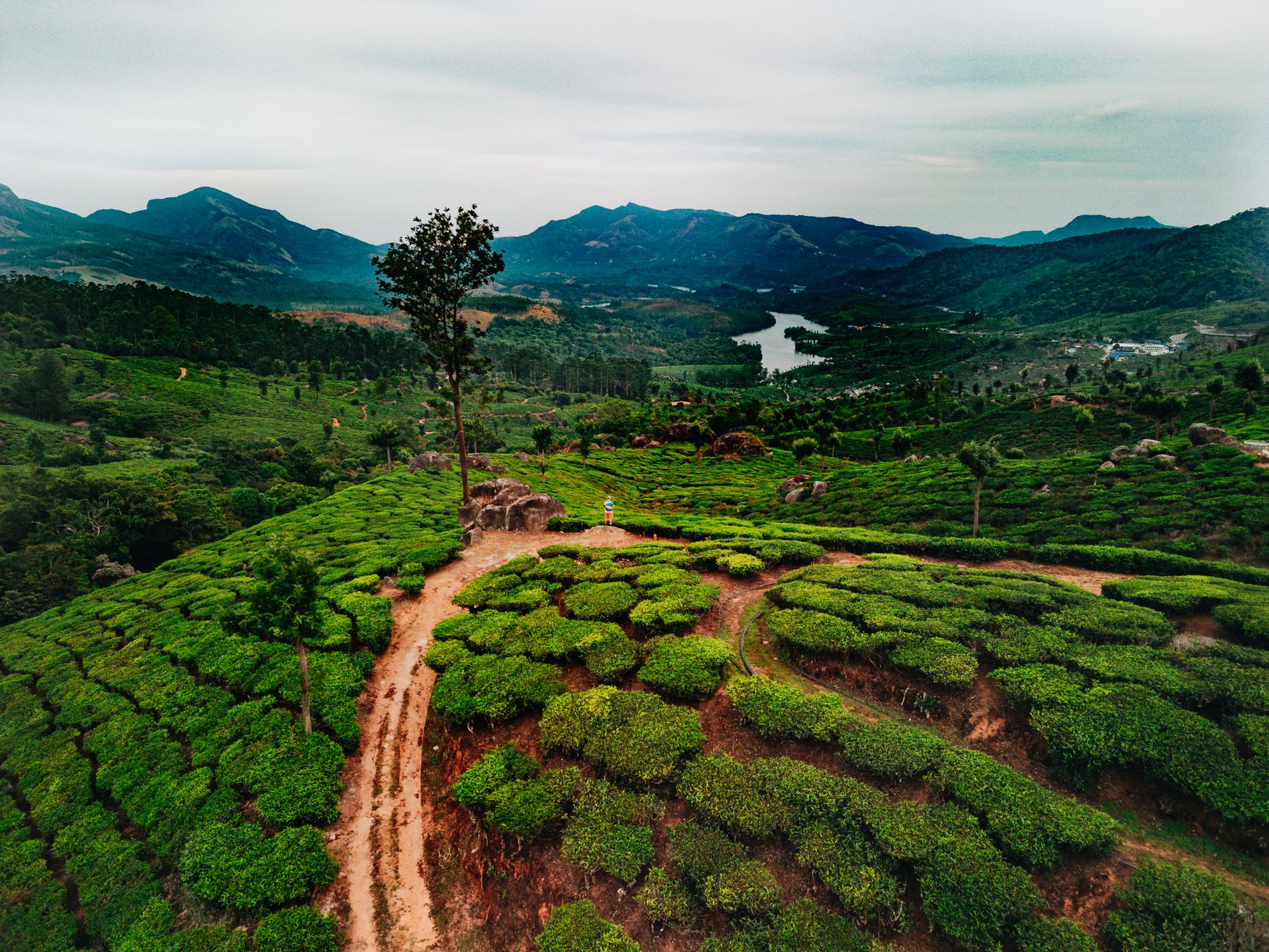 Tea Museum