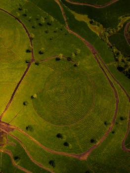 Stunning aerial shot of vibrant green tea plantations with distinct circular patterns, captured in natural light.