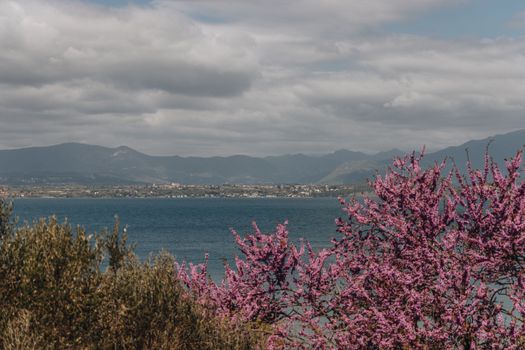 Beautiful view of Lake Garda framed by blooming pink flowers and distant mountains.