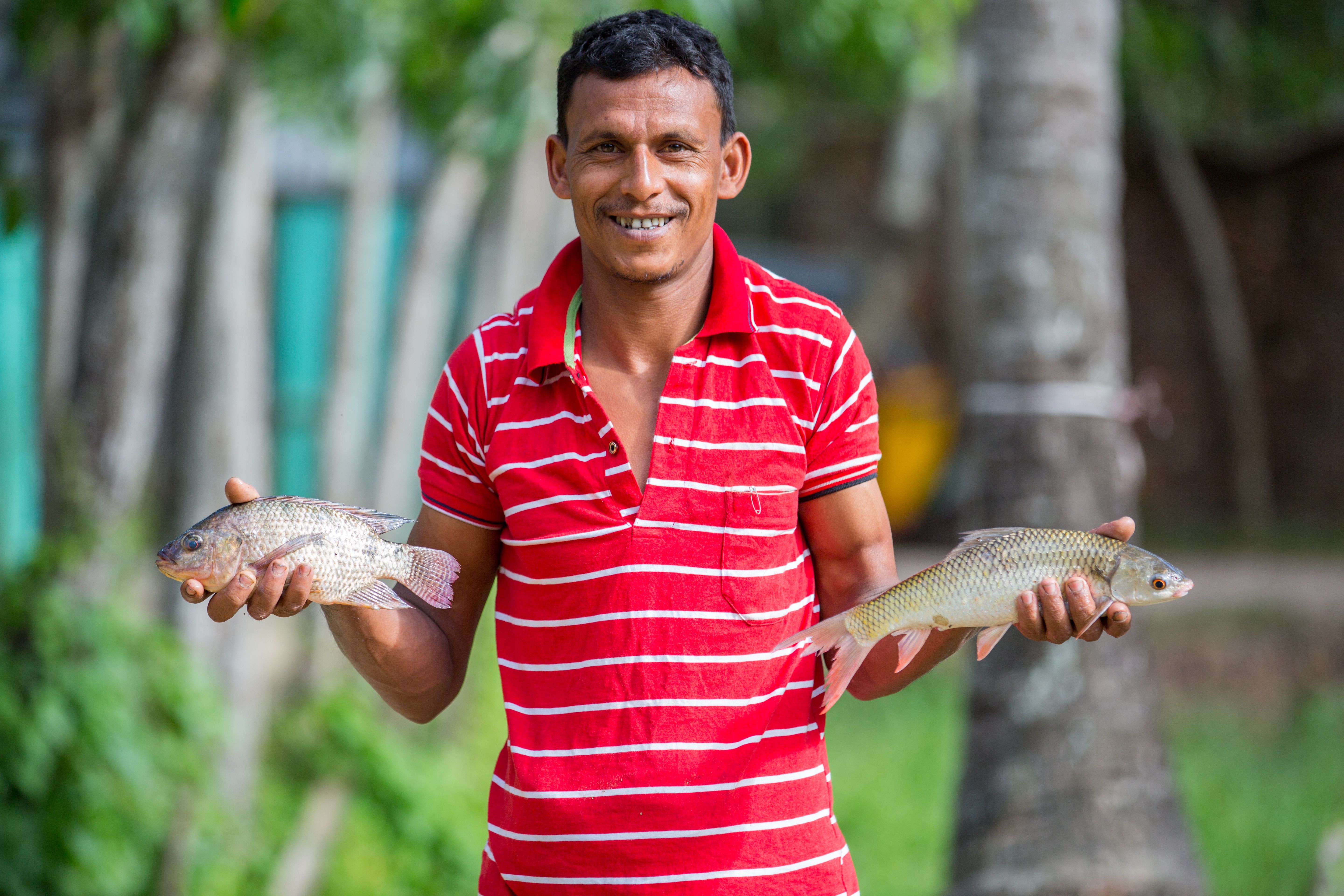 Fish Farming
