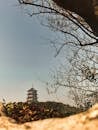 Scenic View of Leifeng Pagoda in Hangzhou