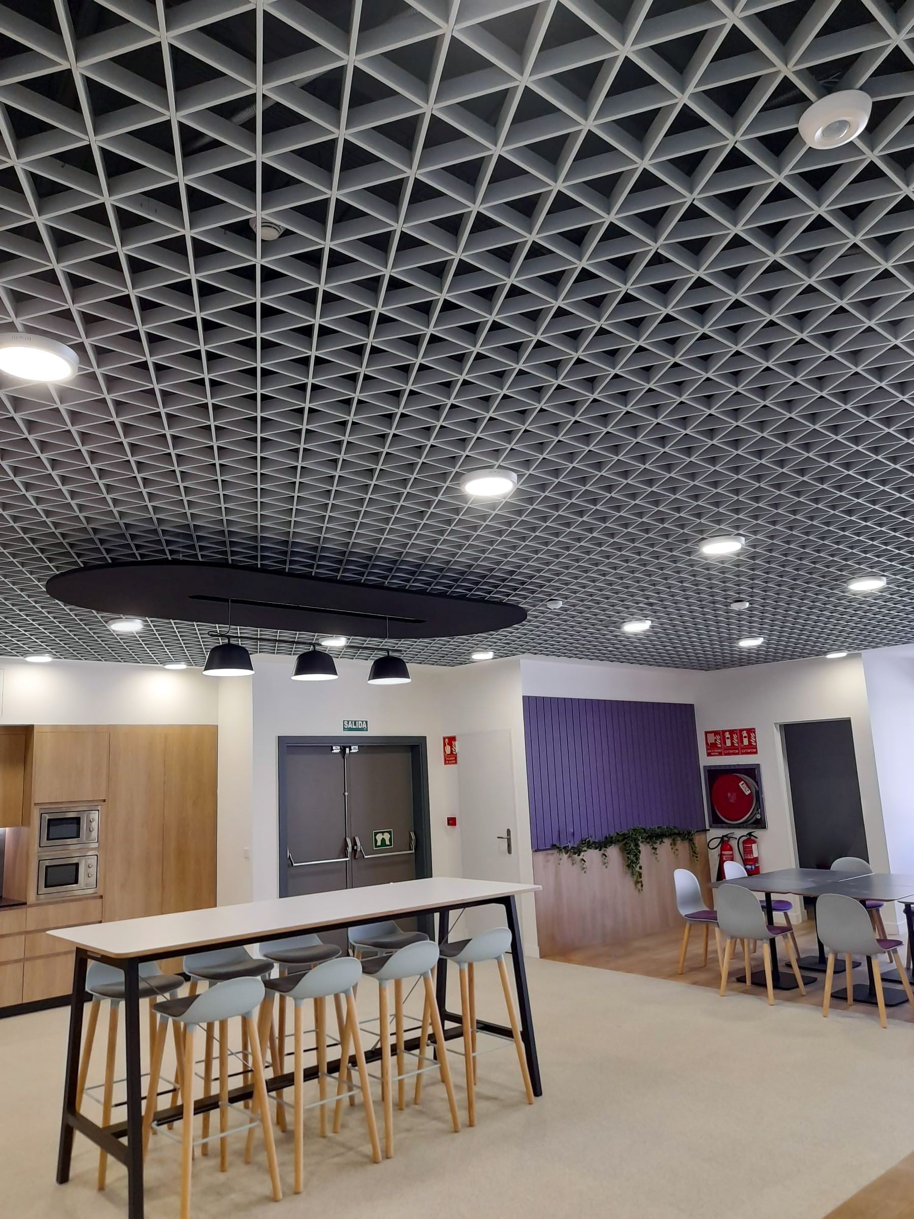 Contemporary commercial office with an architectural grid ceiling