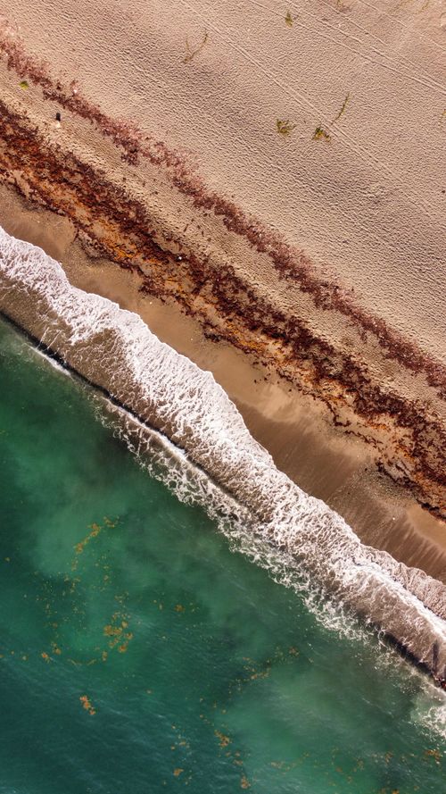 Free Stunning aerial shot of a Jamaican beach with turquoise waves and sandy shore. Stock Photo