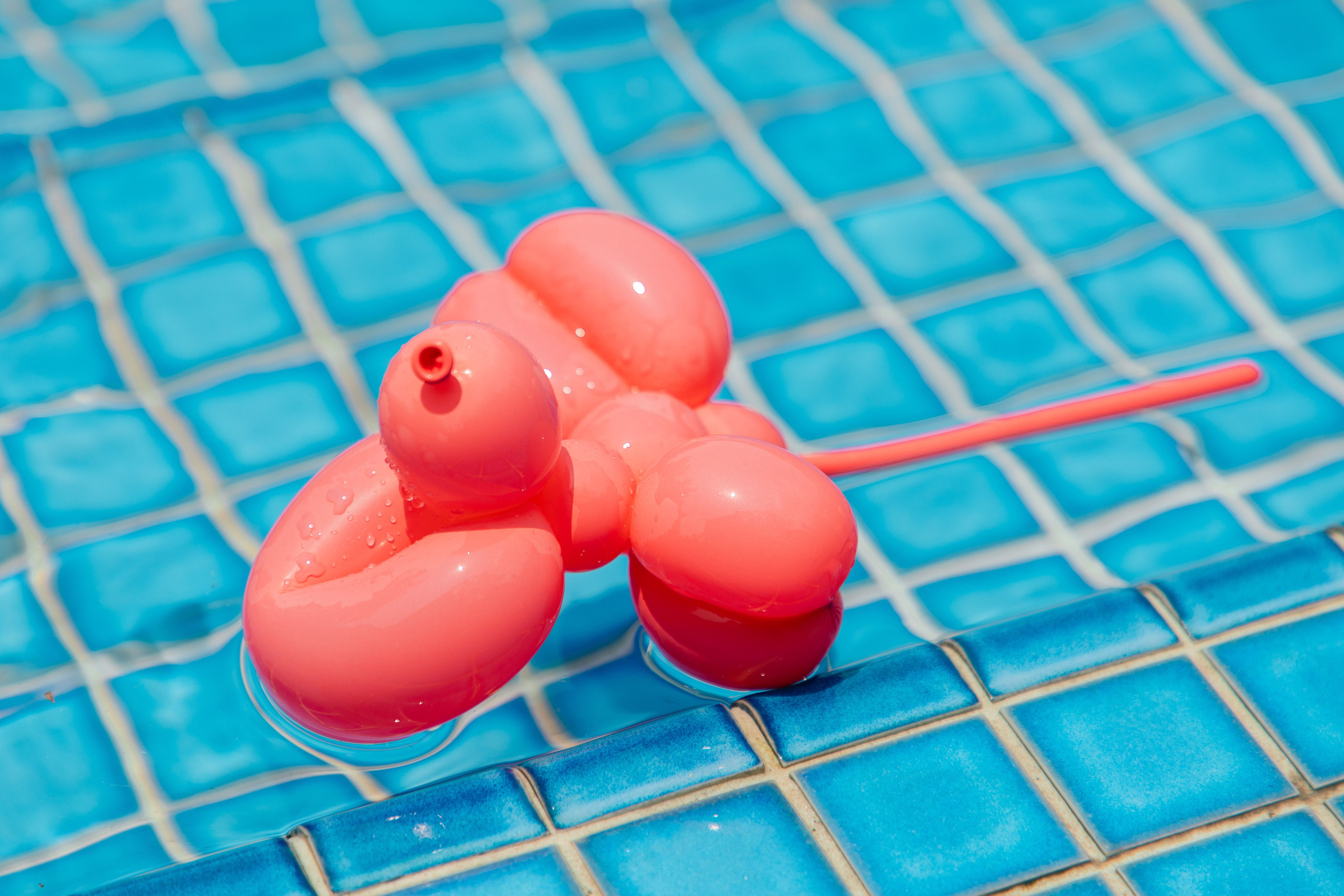 Dog Pool Floats for Summer: Safety, Shade & Size Comparison