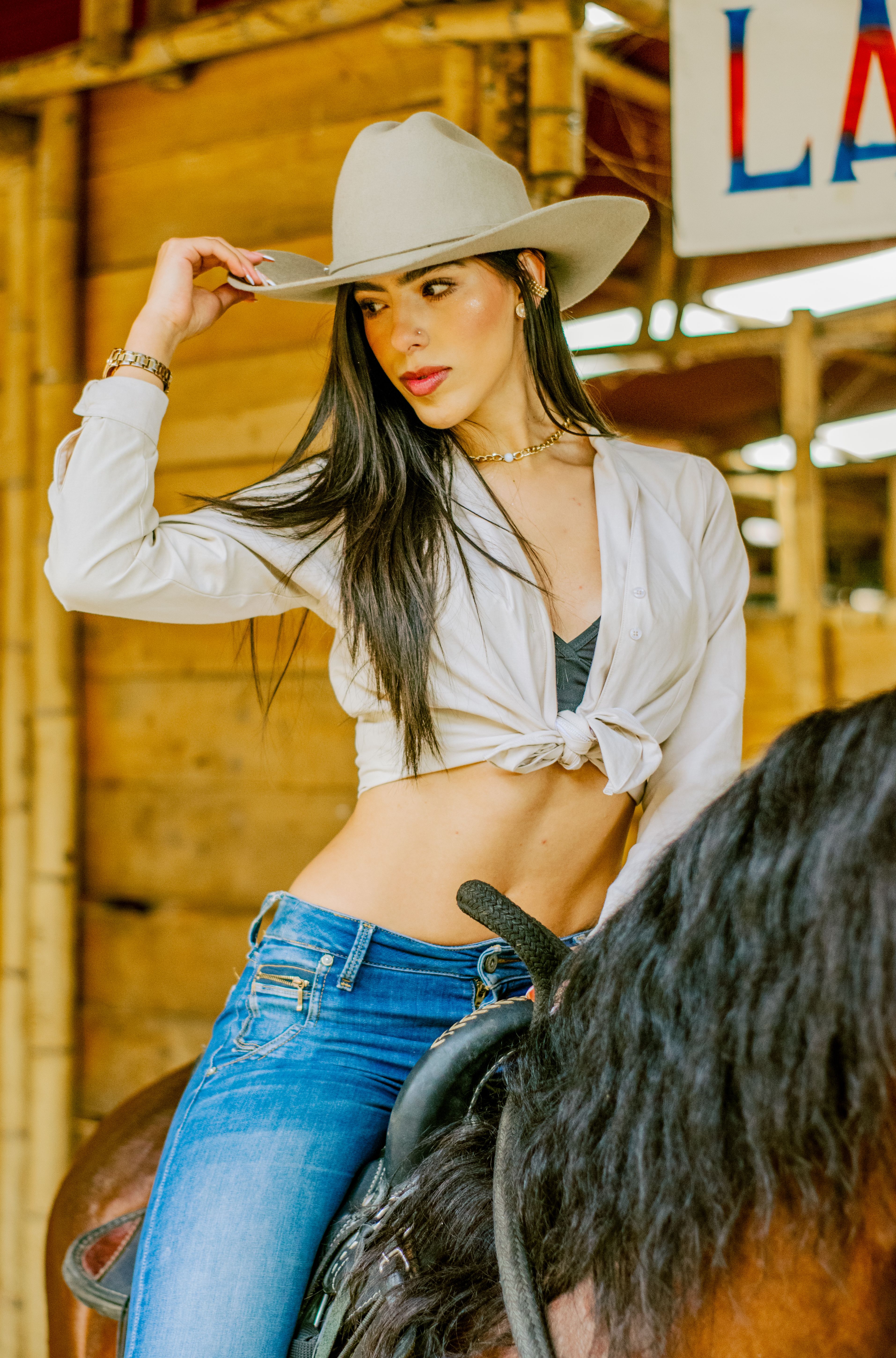 Reverse Cowgirl Photos, Download The BEST Free Reverse Cowgirl Stock