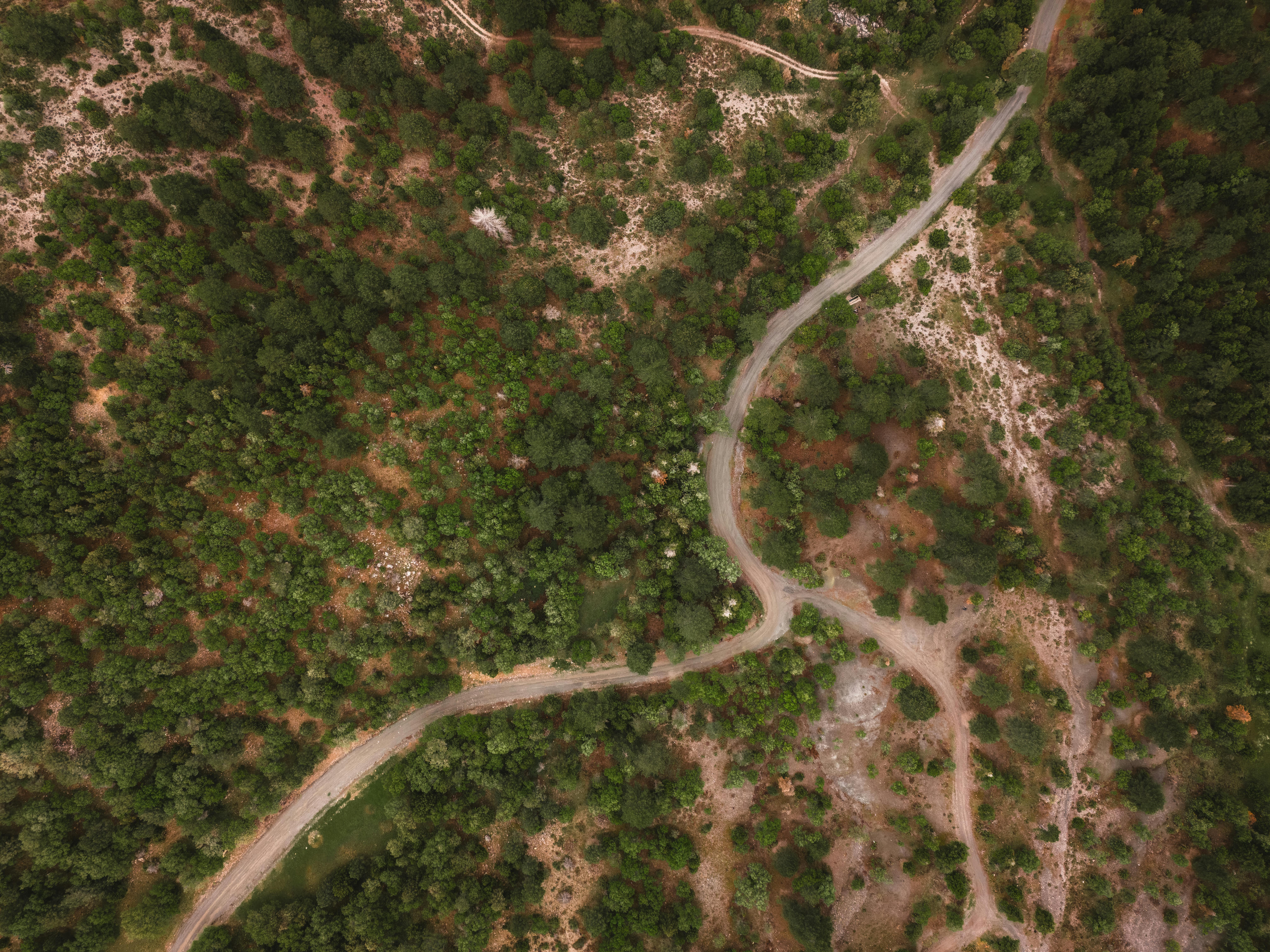 The FIRE road map: Early retirees explain their 2-part investment strategy to hit financial independence — Photo by Ahmet Yük
