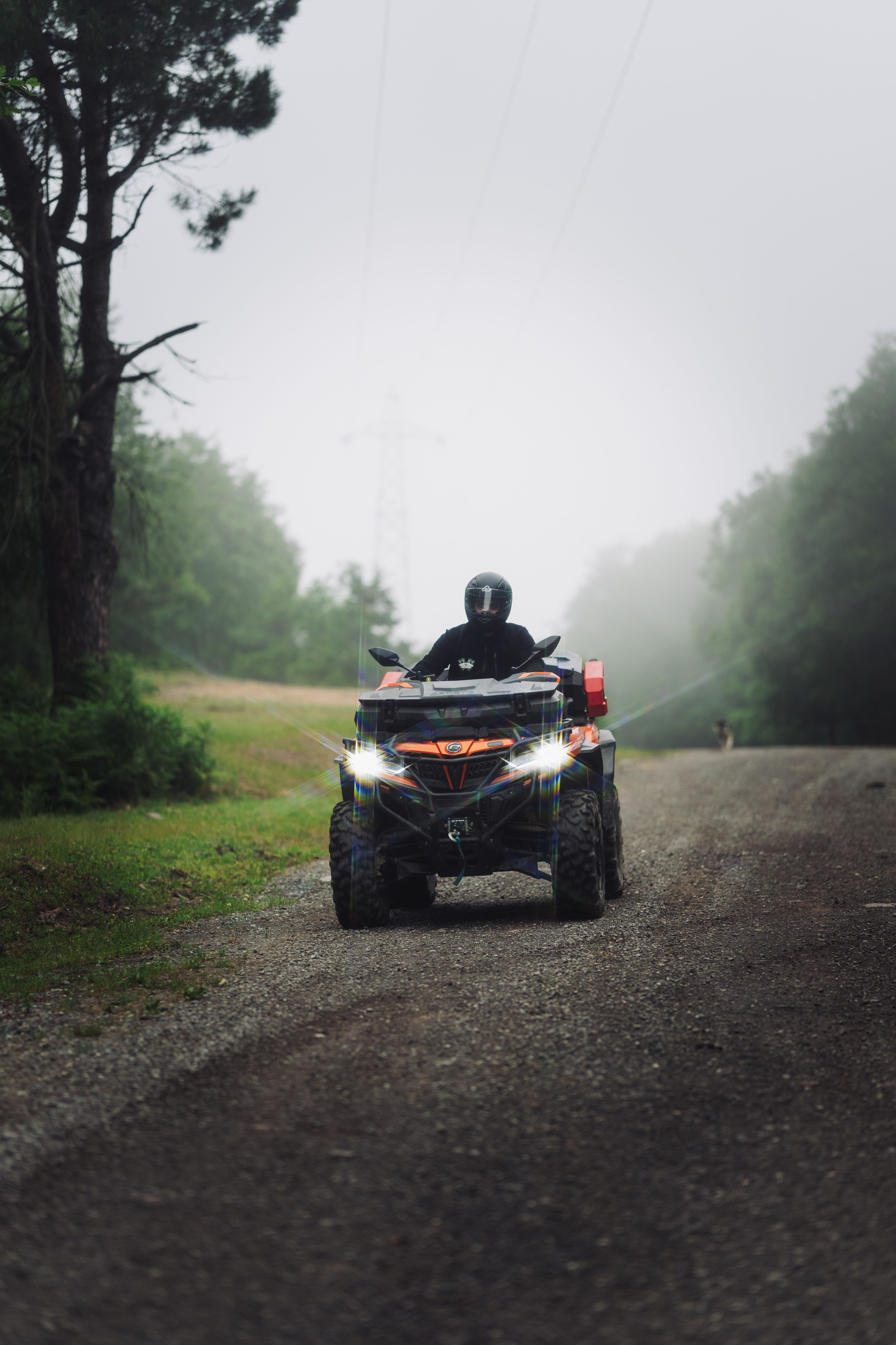 A person on an ATV driving through a foggy forest road, showcasing adventure and exploration.