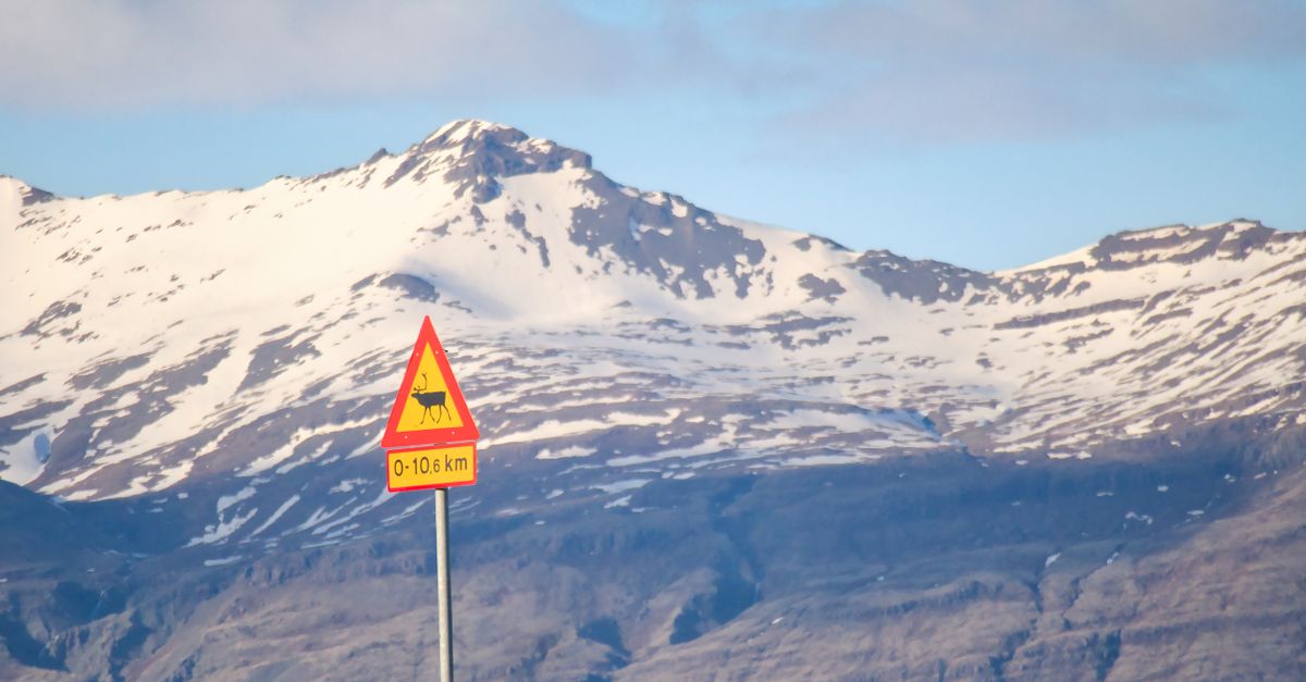 How Iceland’s energy sector leads a socially responsible clean transition with community focus How Iceland’s energy sector leads a socially responsible clean transition with community focus