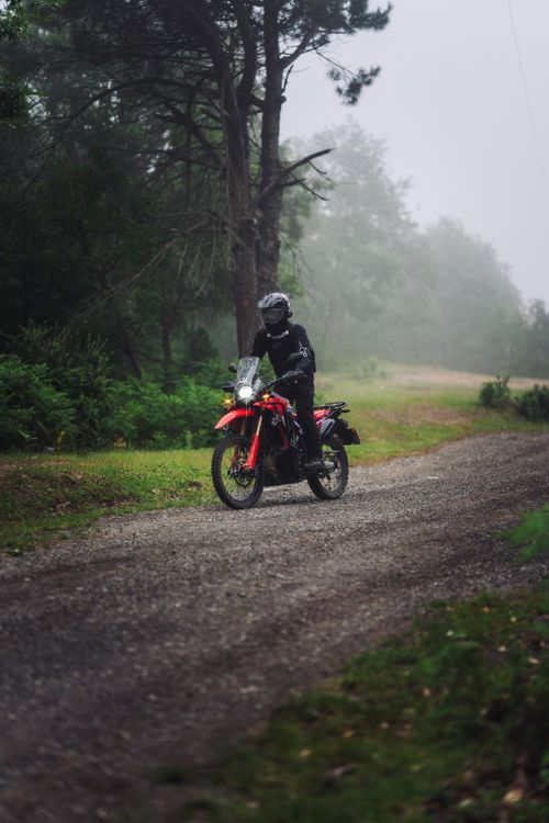 Free A motorcyclist navigates a misty forest trail, capturing adventure in nature. Stock Photo