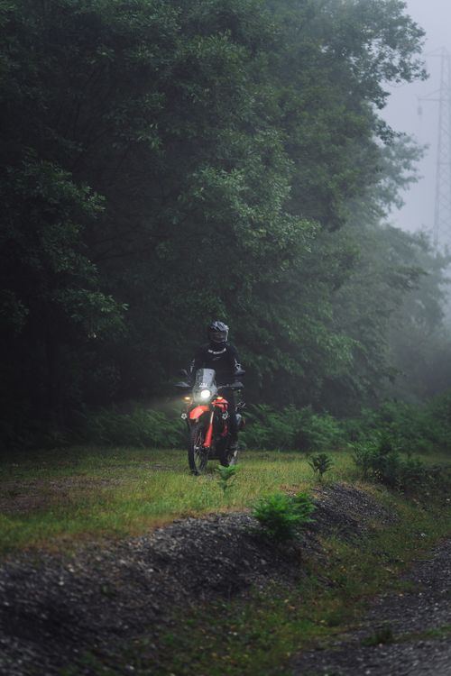 Free A motorcyclist navigates a foggy path through a dense, green forest during daylight. Stock Photo