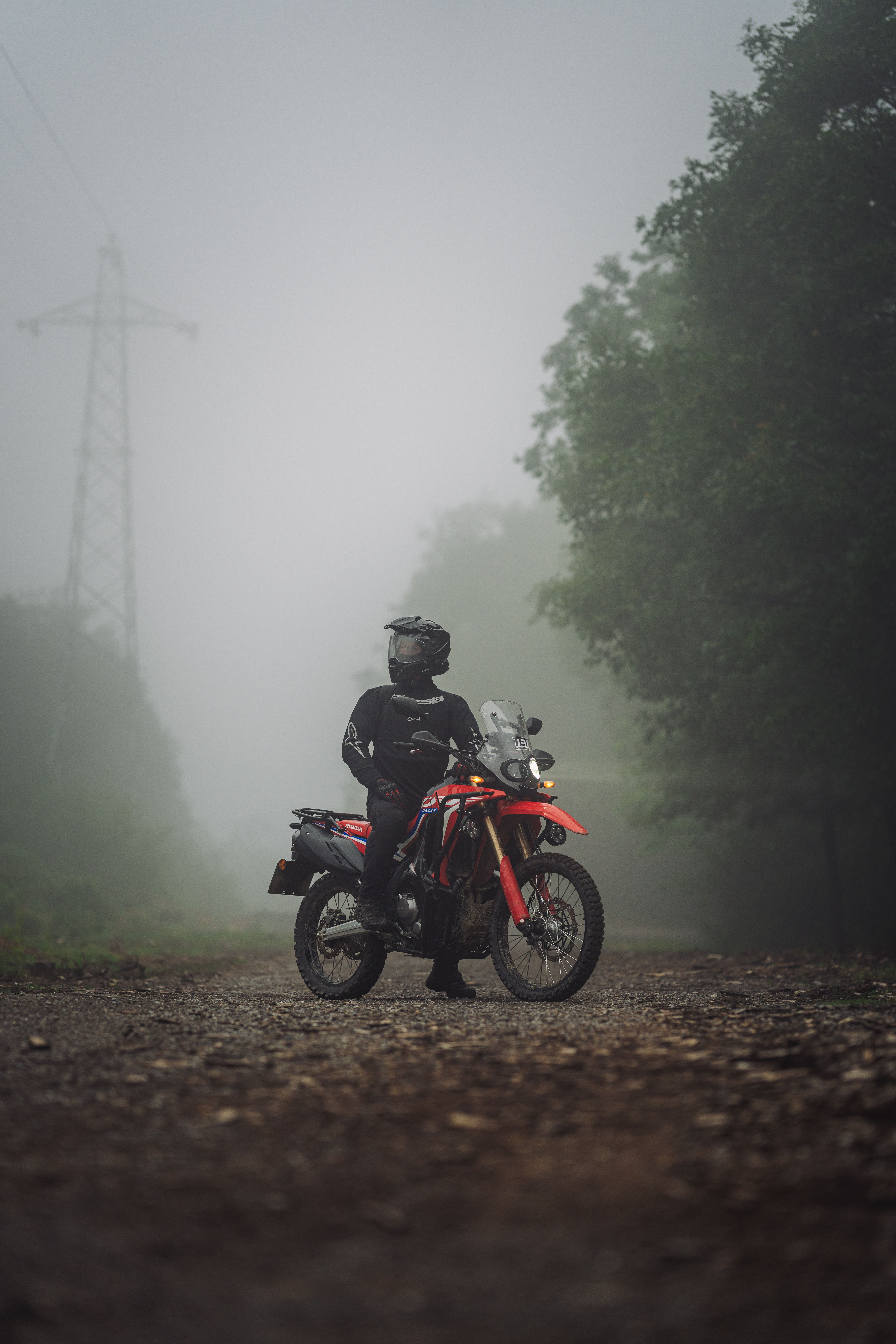 Motorcycle rider in a foggy, forested area, exuding adventure and exploration.