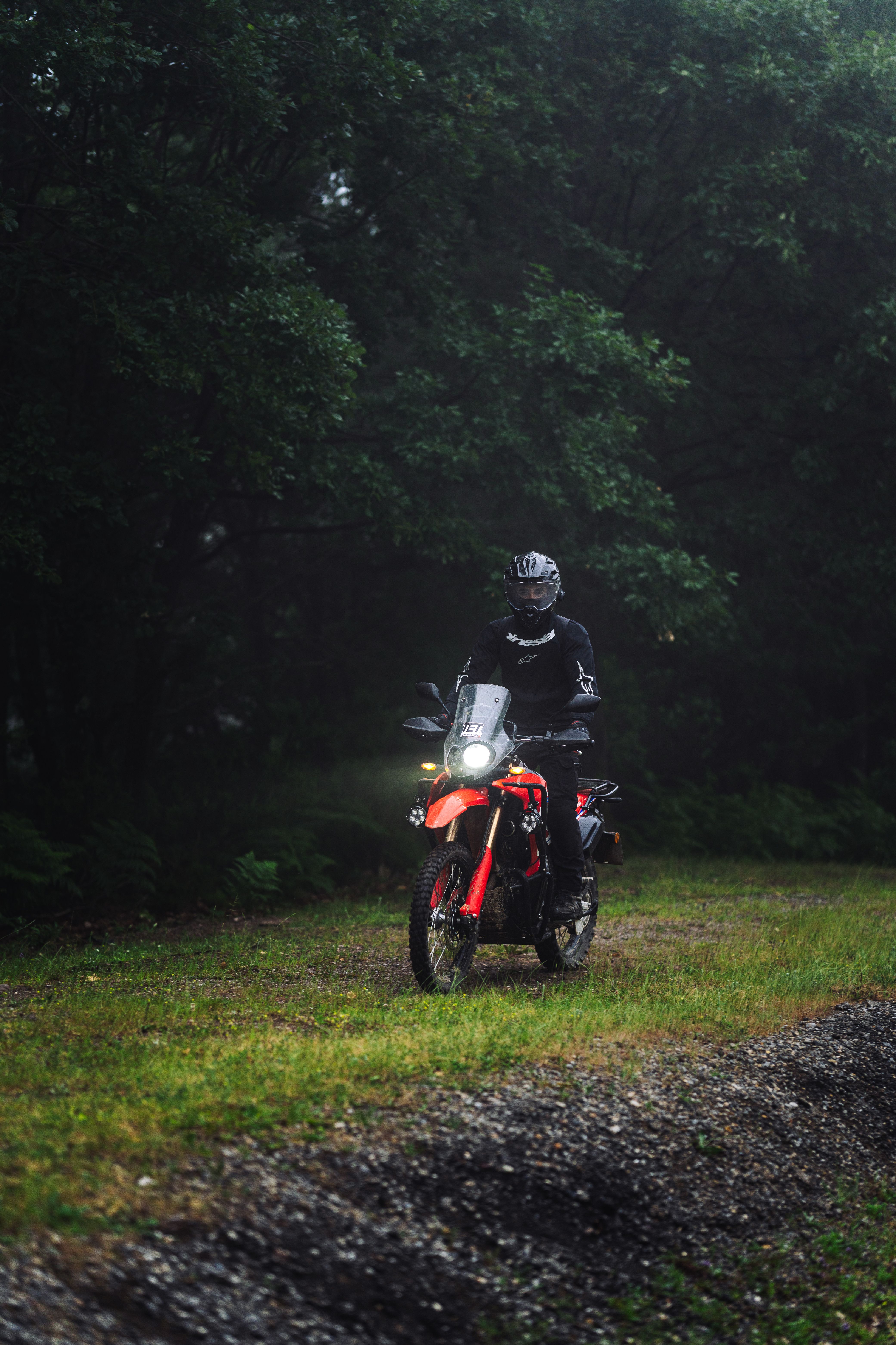 Motorcyclist Rides Through a Misty Forest Path · Free Stock Photo